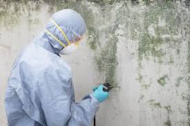 Best Comprehensive Air Testing for Mold Contaminants  in Glespie, IL